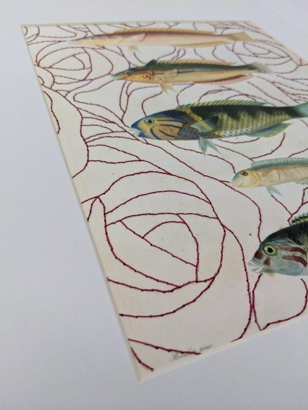 Embroidery Art, threaded burgundy rose on antique fish drawing