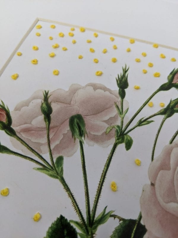 Embroidery art, yellow French knots on photo of pink flowers
