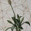 Embroidery art on antique plant drawing, tan geometric thread grid