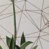 Embroidery art on antique plant drawing, tan geometric thread grid