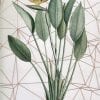 Embroidery art on antique plant drawing, tan geometric thread grid