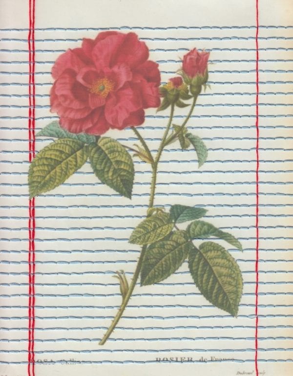 Embroidery art on nature print of red rose drawing with lined paper in embroidery thread
