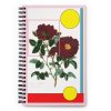 Rosa Collection Notebook — Burgundy + Blush Rose