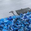 Blue Earth - Image 2